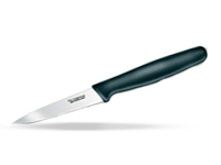 Paring / Steak Knives